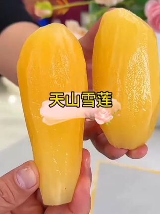 #雪莲果 #云南天山雪莲果 #当季水果 #产地直发 w