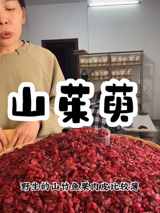 秦山缘 秦岭山区山茱萸 山萸肉 茱萸肉晒干农产品枣皮去核山萸 #好物分享 #热点宝 #三伏天养生指南 #山萸肉 #山茱萸