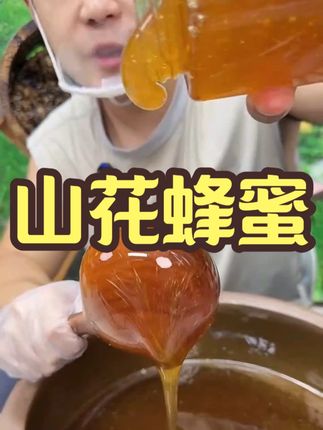 【环保玻璃瓶纯山花蜜 】25年新蜜天然百花真土蜂蜜原浆高品质 #纯山花蜜 #蜂蜜 #好吃到停不下来 #吃了还想吃 #山花蜂蜜