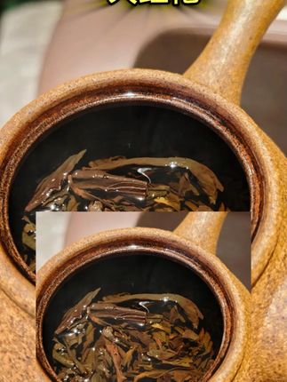 大红袍进阶套装 多口味超满足 #进阶套装 #大红袍多味