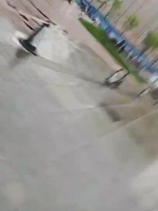 养宠必备宠物静电除毛手套双向刷毛粘毛除毛神器猫毛手套猫毛清理#除毛神器 #宠物除毛神器 #除毛手套 #除毛手套推荐 #除毛手套分享