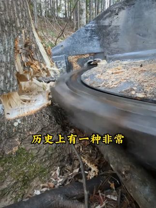 读《寒门诡将》让你在为人处世中立于不败之地。 #寒门诡将 #谋略思维 #为人处世