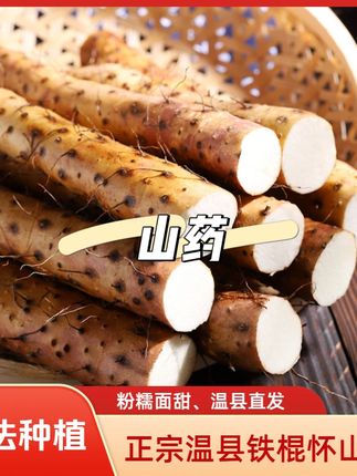 正宗温县铁棍山药新鲜怀山药河南焦作原产地直发粉糯面甜#正宗温县铁棍山药 #山药 #新鲜山药 #视频同款
