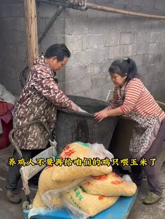 #养鸡 #养鹅 #养鸭 #雄牧旦乐乐 #养鸡人