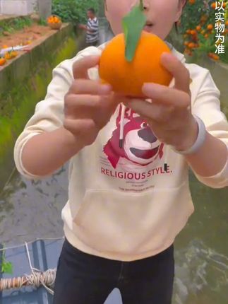 正宗四川爱媛38果冻橙 大名鼎鼎的爱媛38号果冻橙终于上市啦!皮薄肉厚汁水超级多,无籽无核,一口咬下去,满口爆汁,真的是巨巨巨好吃~#爱媛38号果冻橙 #爱媛橙 #果冻橙