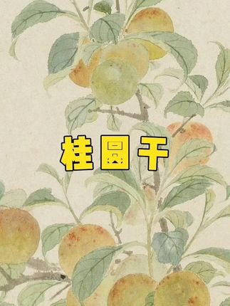 #桂圆#桂圆干#农家桂圆干 #优质农产品#超便宜超划算