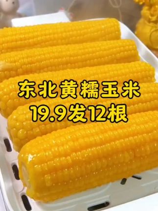 19.9到手12根,而且还都是大棒🌽#东北黄糯玉米 又大又甜又香糯#糯玉米的营养价值 #软糯香甜 大人小孩都爱吃,太香了#哇又便宜又好吃 #粗粮