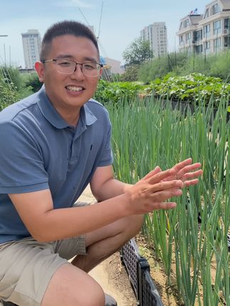 进入七月份,大葱出现各种问题该怎么办呢#大葱种植 #农业种植 #大葱种植技术