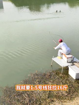 我就要1.5号线狂拉16斤我就要100斤以内都能钓... #钓鱼 #钓线 9.19H