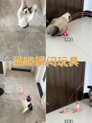 猫咪们的专属快乐棒!这款RUAYIRUA逗猫棒让你家猫猫爱不释手,耐咬又好玩,宠物互动必备良品! #萌宠出道计划 #养宠人的治愈谁懂啊 #家长友好 #猫咪的精力旺盛 #逗猫棒