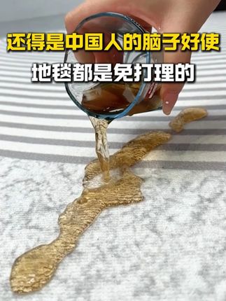 还得是中国人的脑子好使地毯都是免打理的! #地毯#伊瑞莎#源头实力厂家#客厅搭配#客厅地毯