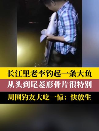#老李钓起一条大鱼周围钓友大吃一惊:快放生 钓友老李在南岸铜元局的长江边,钓起了一尾几十斤重的大鱼。现场钓友都说,这是一条“中华鲟”,让他赶紧就地放生。这条大鱼真是珍稀的中华鲟吗? #新闻