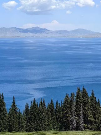 #杜克和一哥#孟加拉的故事#交换世界计划#许嵩演唱会#呼吸之野