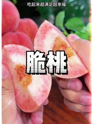 姐妹们!人生水蜜桃🍑桃香味巨浓郁,脆嫩香甜,一口爆汁!!真的好好吃!#水蜜桃 #桃子熟了 #又脆又甜 #脆桃 #新鲜应季水果