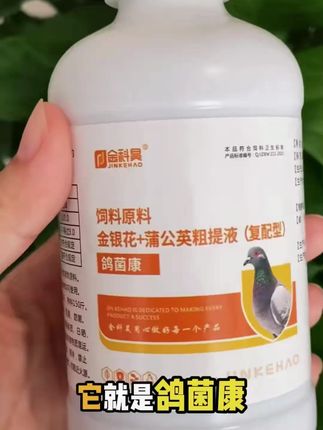 就是绿便里面呢掺杂着白色的便, 有些鸽子粪便里面呀, 表层它还有一层气泡。 那第二个呢, 就是精神不振, 呼吸困难, 有些鸽子呀, 得了这个沙门氏菌呀, 就像得了瘦死病一样, 慢慢的把自己活活的给瘦死了。#养鸽小技巧 #鸽子沙门氏 #鸽子拉稀 #鸽子水绿便 #好物推荐