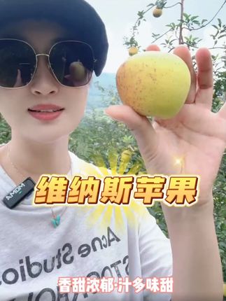 云南野香维纳斯丑苹果纯甜几乎无酸果味浓郁口感爽脆越丑越好吃