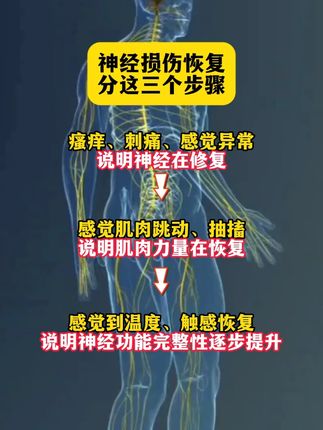 #神经损伤 #脊髓损伤 #截瘫