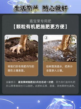 嘉宝果用精制有机肥颗粒缓释肥花卉绿植营养肥料关注老头,吃果不愁#树葡萄 #嘉宝果 #有机肥 #助力三农 #台创嘉宝果树葡萄