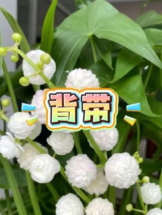 #背带 #儿童背带 #背带子 #电动车背带
