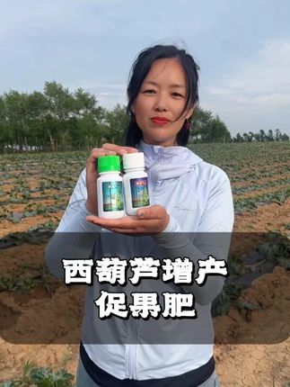 西葫芦高产坐果肥 #西葫芦种植 #增产增收叶面肥 #精品瓜