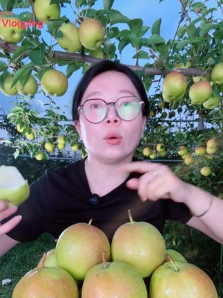 山西运城丹霞红香梨 新鲜酥脆大果品质甘甜爽口口感味美细腻汁水#新鲜酥脆香梨 #丹霞红香梨