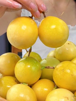#钦蜜9号百香果 #百香果 #水果 #九甜一酸