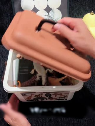 一岁后的宝宝对认知是真没抵抗力,#纽奇 这套动物模型全是1比1仿真的,培养专注力还不错过认知黄金期,太适合#新手妈妈 在家#早教 了#宝宝认识动物 #宝宝玩具