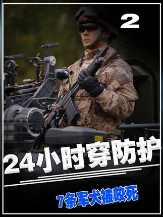 军人24小时穿防护服,7条军犬被咬死,中国北湾边防线有多恐怖#军人#军犬#科普#军事科技#军事迷