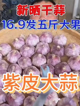 #紫皮大蒜 #优质农产品 #大蒜 #源头好货 #助农