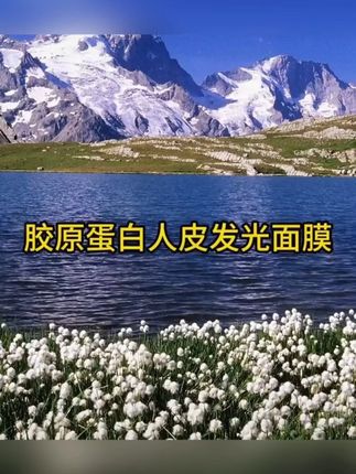 视频同款