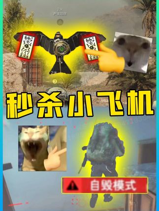 一枪不开远程瞬杀!新版本最折磨流派之秒杀小飞机!#三角洲行动 #三角洲行动攻略 #三角洲周年庆新赛季爆料 #三角洲新干员银翼 #三角洲行动欢乐剧场