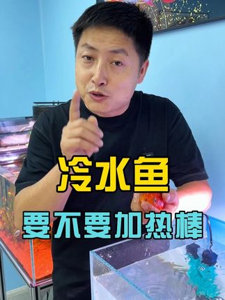 冷水鱼到底需要不要加热棒,到底听谁的?#观赏鱼 #养鱼日记 #冷水鱼 #鱼缸加热棒 #新手养鱼