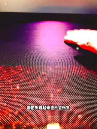 推拉纱窗鱼缸防跳网 #鱼缸防跳网 #鱼缸纱窗防跳网 #纱窗鱼缸 #流光溢彩 #手工打造