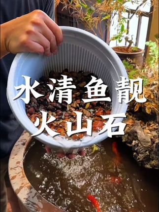 精品火山石颗粒适合鱼缸过滤植物铺面促进透气营养土天然火山石子#精品火山石颗粒 #火山石颗粒 #火山石颗粒推荐 #火山石造景 #花卉绿植