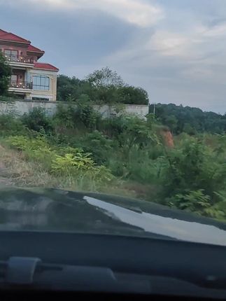 #李羲承符神颜 #李羲承让粉丝闭眼 #李羲承直拍