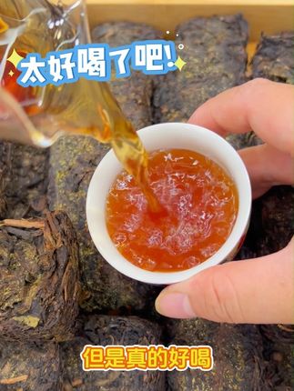 都2025年了,不会还以为这是发霉茶吧 #安化黑茶 #金花茯砖 #茶 #茶叶 #茯砖茶
