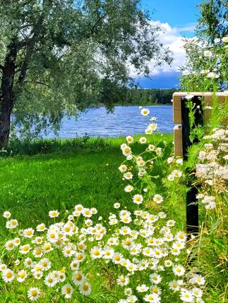 #原生木浆 #悬挂抽纸 #生活用纸 #大包型抽纸 #超便宜超划算