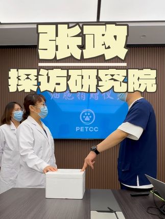 张政team宠物集诊