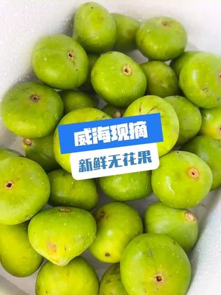 没白等!这口下去直接爆蜜!这威海的青皮无花果比去年更甜了!太爱了!#威海青皮无花果  #现摘现发新鲜到家  #应季新鲜水果