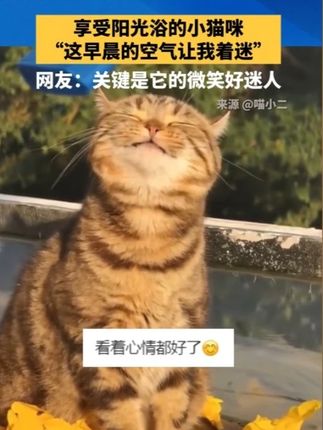 幼儿园#小班 #中大班 一定要做#思维训练 ,两千多道题,每天15分钟玩一玩#开发大脑 #全脑开发 #启蒙早教 #专注力培养