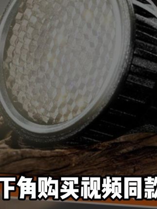 其鳞爬宠全光谱补钙灯黄缘乌龟守宫蜥蜴UVAUVB太阳光LED晒背灯泡