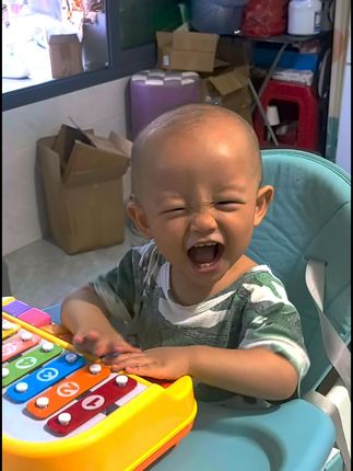 纽奇益智八音手敲琴宝宝二合一8个月婴儿幼儿童音乐玩具钢琴礼物