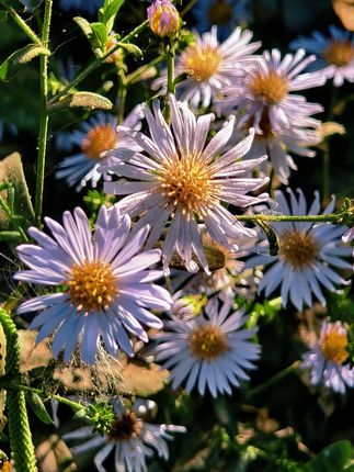 孩子不爱玩手机?试试这款滑滑梯,宝宝爱不释手!A