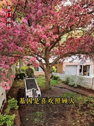 读《寒门诡将》,学古人智慧,让你在为人处世中立于不败之地 #寒门诡将 #为人处世 #智#智慧谋略#破局思维