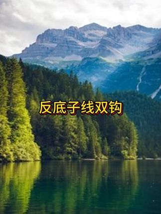 【超值!8 .8元4对】反底子线双钩成品欧鲤钩免调漂反底钩鲫鲤鱼草鱼