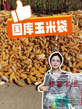 这些编织袋竟然这么耐用?双折底大粗线缝制,装玉米都不怕! #编织袋 #耐用编织袋 #米王编织 #编织袋批发