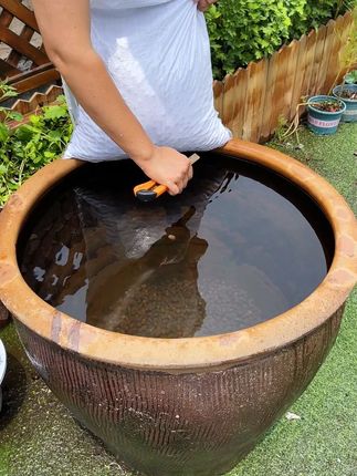 想在家里干干净净的养花,鱼,可以铺上 #彩色陶粒 即美观又保水保肥 #铜钱草 #花卉绿植 #养花小知识#鱼缸造景