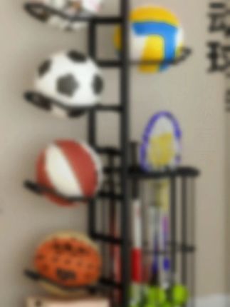 球类收纳架家用室内学校足排球篮球架托多层摆放置物架儿童收纳筐#球类收纳 #家用收纳架 #室内置物 #儿童用品 #足排球收纳