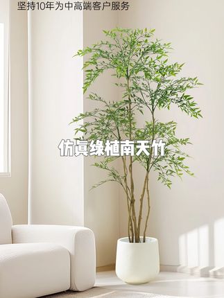 仿真绿植南天竹大型落地摆件盆栽室内卧室仿生植物 #仿真绿植南天竹 #南天竹 #仿真绿植 #仿真绿植推荐 #绿植