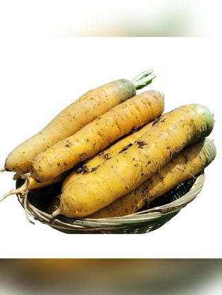 #郝劭文推荐 ,新疆黄萝卜抓饭专用胡萝卜新鲜蔬菜缸子肉配菜宝宝辅食3斤包邮#黄萝卜 #萝卜 #新疆黄萝卜 #胡萝卜